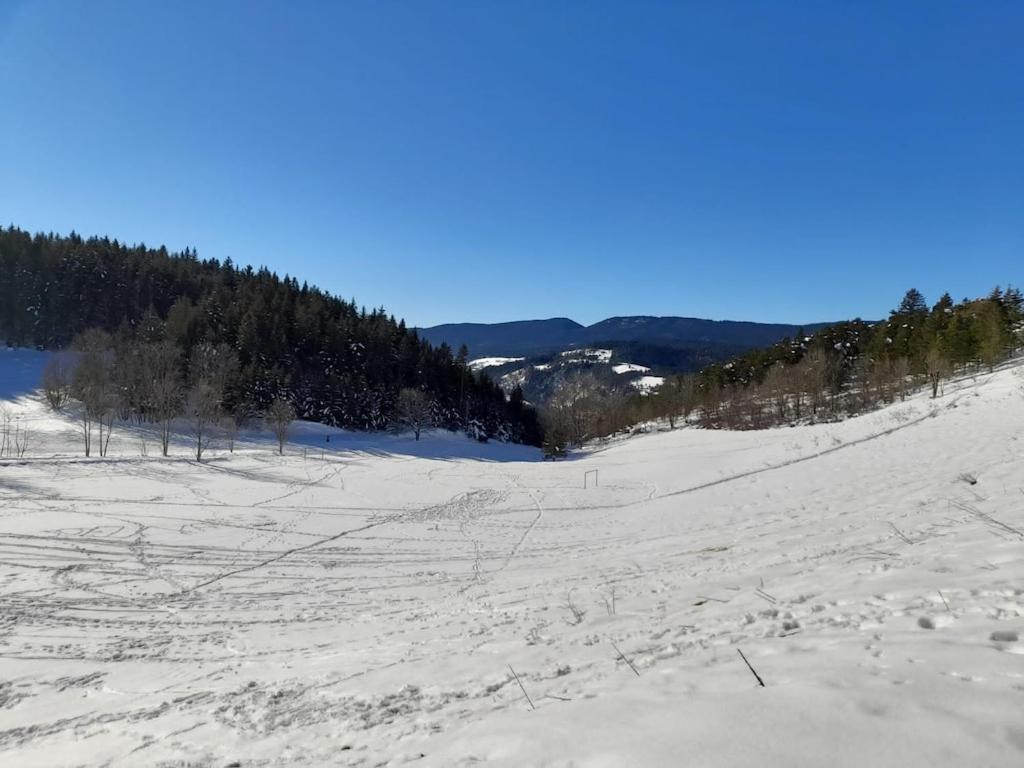 Les Glovettes Villard De Lans Villard-de-Lans Exterior foto